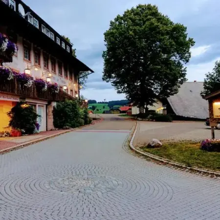 ZUR TRAUBE Schwarzwaldhotel & Restaurant am Titisee