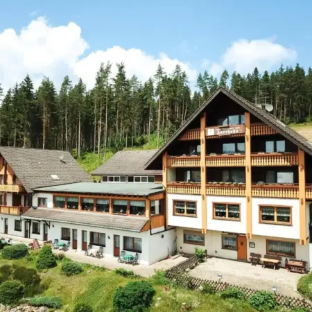Auerhahn Bed and Breakfast – Black Forest – Waldhotel