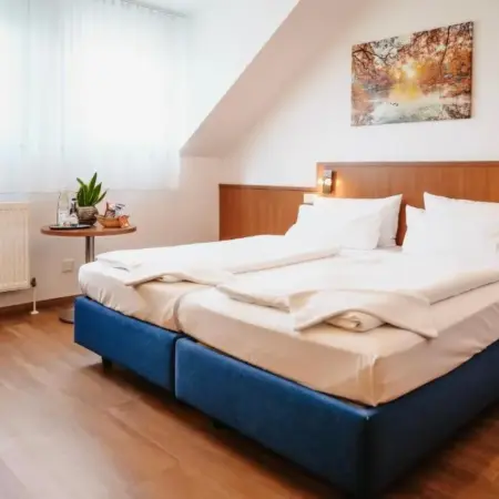 Hotel & Restaurant Goldener Pflug
