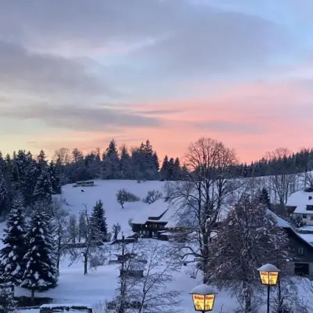 Boutique Hotel & Aparmtents Pension Sternen