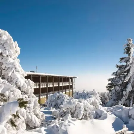 Wellness-& Nationalpark Hotel Schliffkopf, BWSC