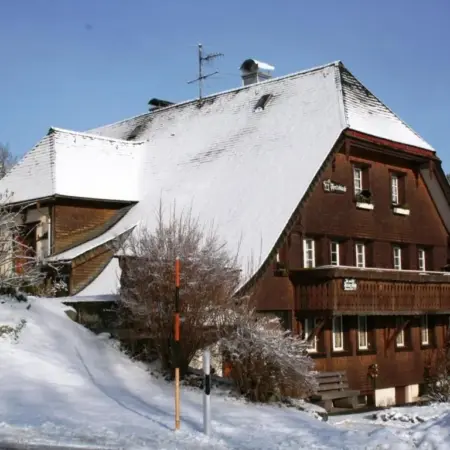 Apartment in Dachsberg-Urberg