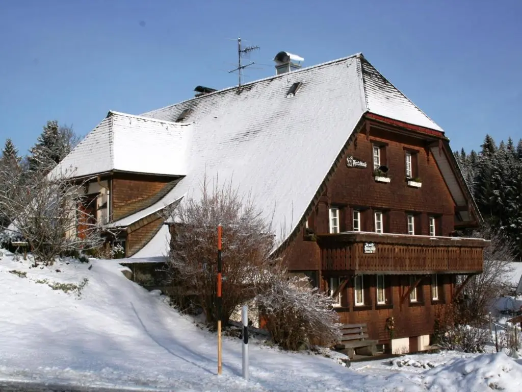 Apartment in Dachsberg-Urberg