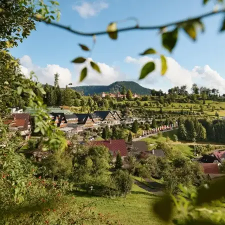 Hotel Dollenberg