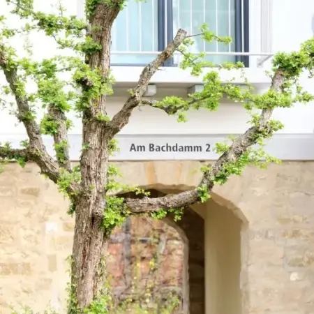 Alte Stadtmauer – Apartment
