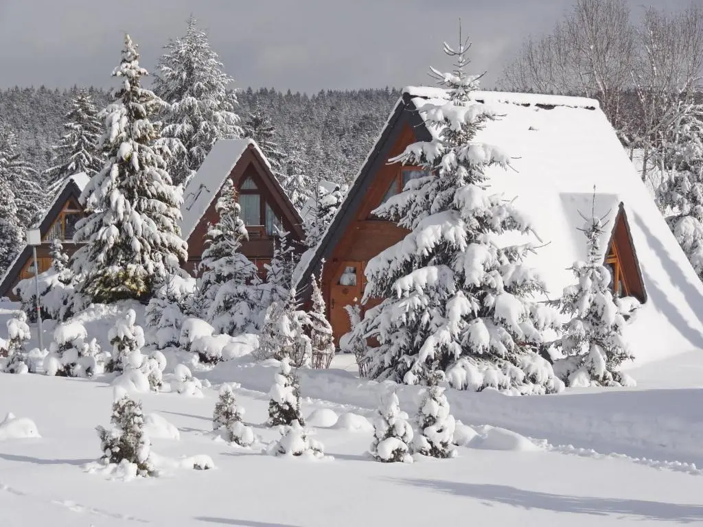 Holiday Home Tennenbronn-1 by Interhome