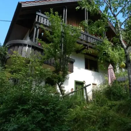Ferienwohnungen in Schönmünzach
