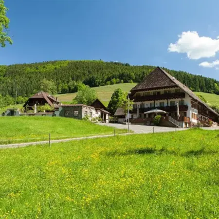 Landgasthaus Grüner Baum