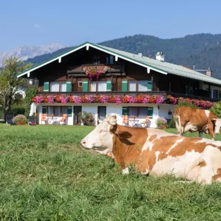 Ferienwohnung Drachllehen