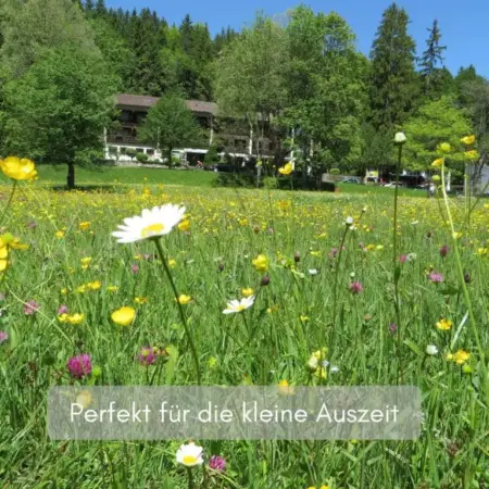 Hotel Ruchti – Zeit für mich
