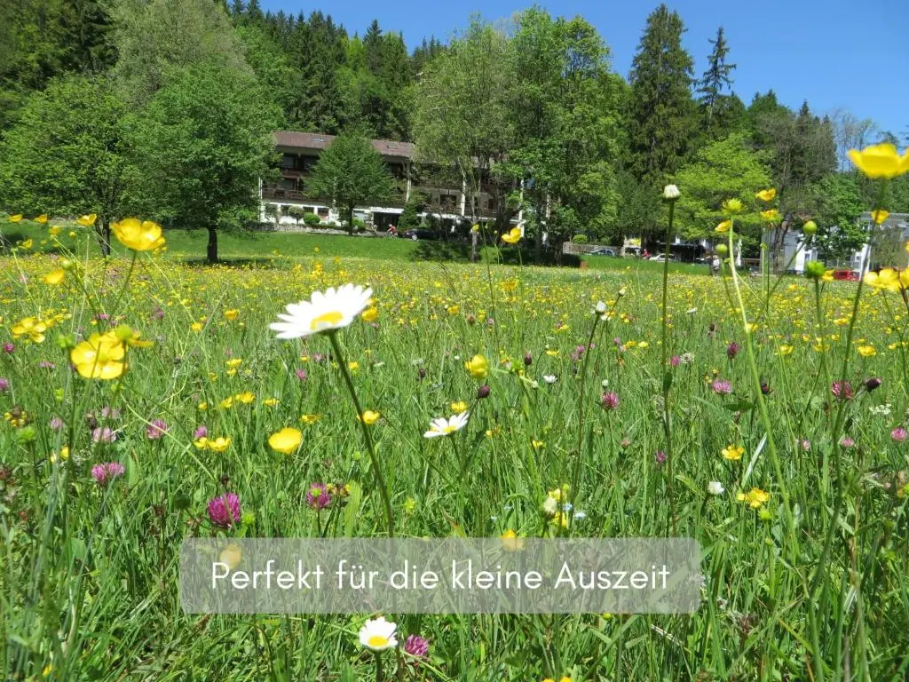 Hotel Ruchti – Zeit für mich