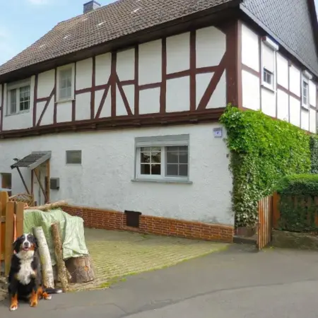 Wohnung in Leuderode beim Wildpark