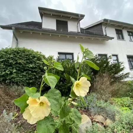 Ferienwohnung auf Rügen mit Boddenblick