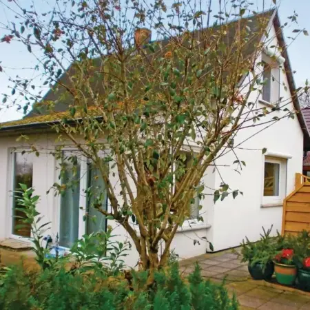 Ferienhaus Sundhagen OT Tremt 26