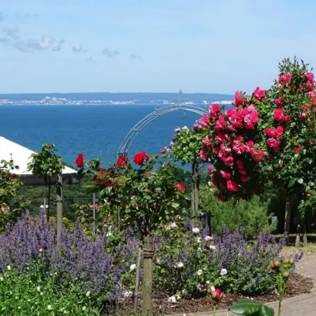 AKZENT Waldhotel Spa Rügen