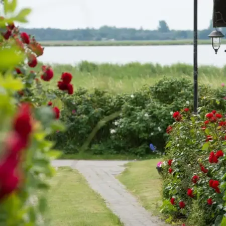 Pension Deichgraf Middelhagen