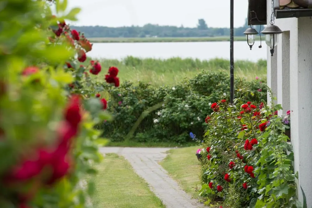Pension Deichgraf Middelhagen