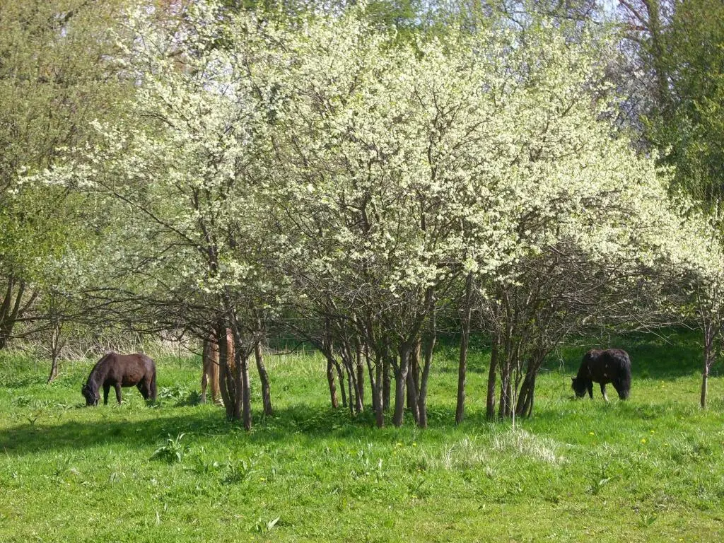 Stadtwohnung