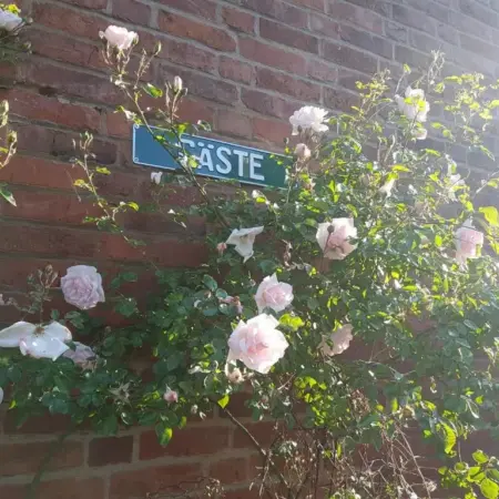 Eternahof
