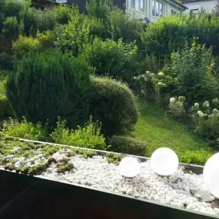Ferienwohnung Am Paradies 6