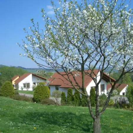 Bungalow im Feriendorf Uslar mit Gartenterrasse