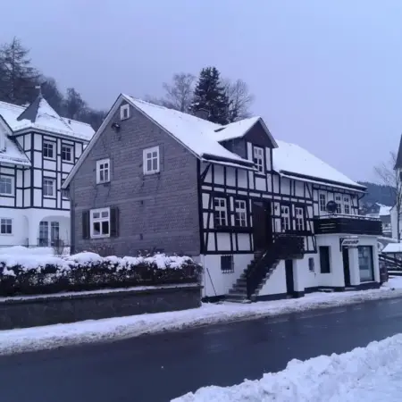Großzügige Villa in Olsberg-Elpe
