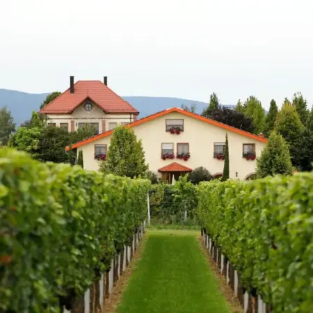 Villa Hochdörffer Gästehaus