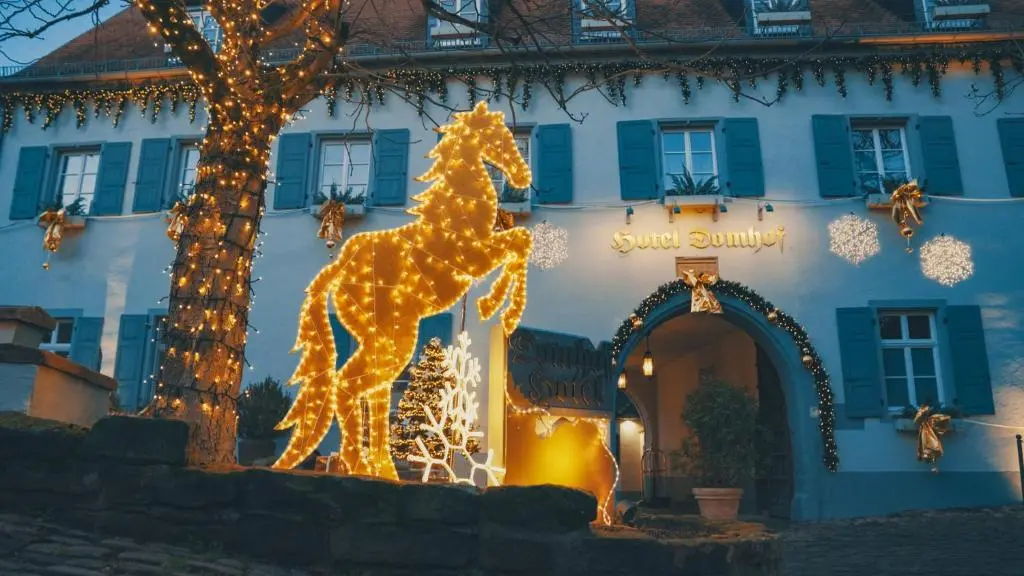Hotel Domhof