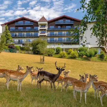 Natur- und Wohlfühlhotel Kastenholz