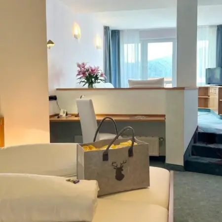Hotel Am Hirschhorn – Wellness – Spa – and more