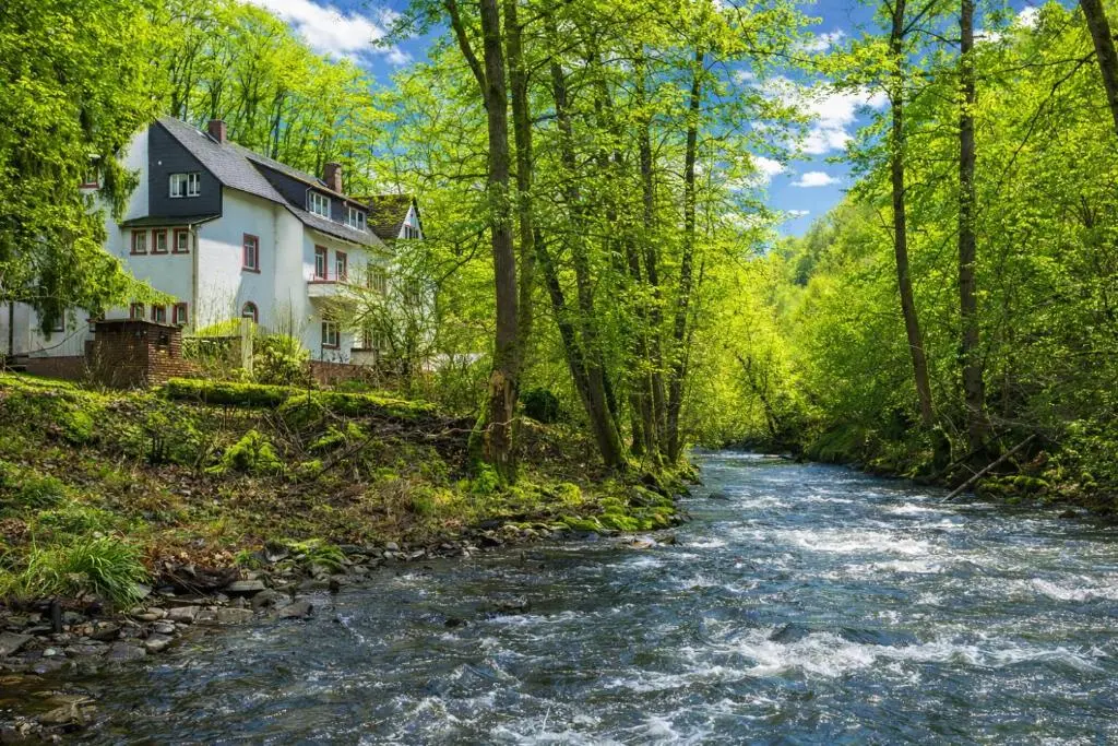 Wald Villa Üssbach