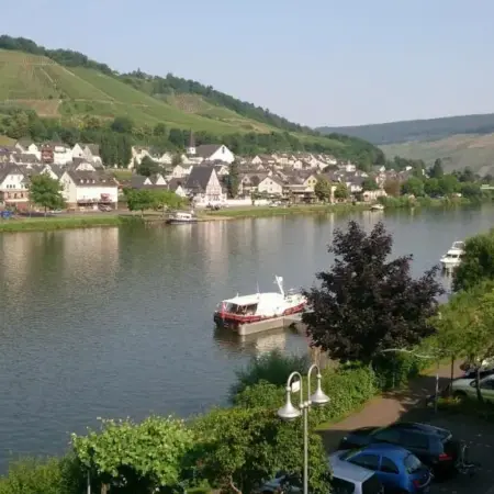 Mosel View