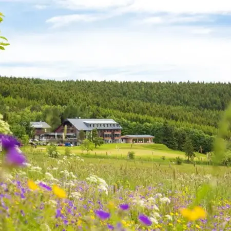 Hotel Jens Weissflog