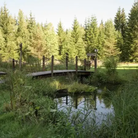 Forest Retreat in Jägersgrün