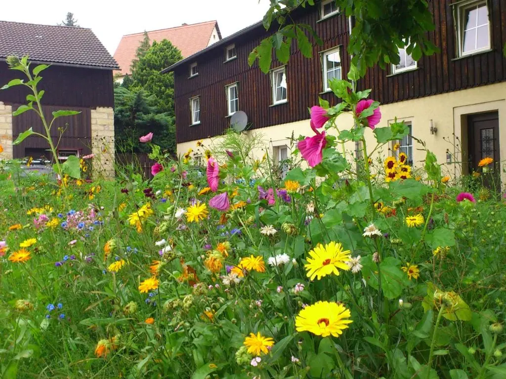 Wohnung in Weibig mit Garten