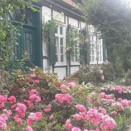 Rosindell cottage