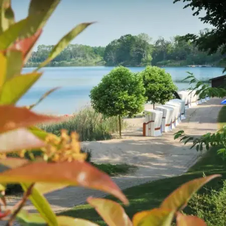 Bernstein Acamed Resort